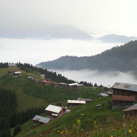 Ayder Hasimoglu Hotel Екстериор снимка