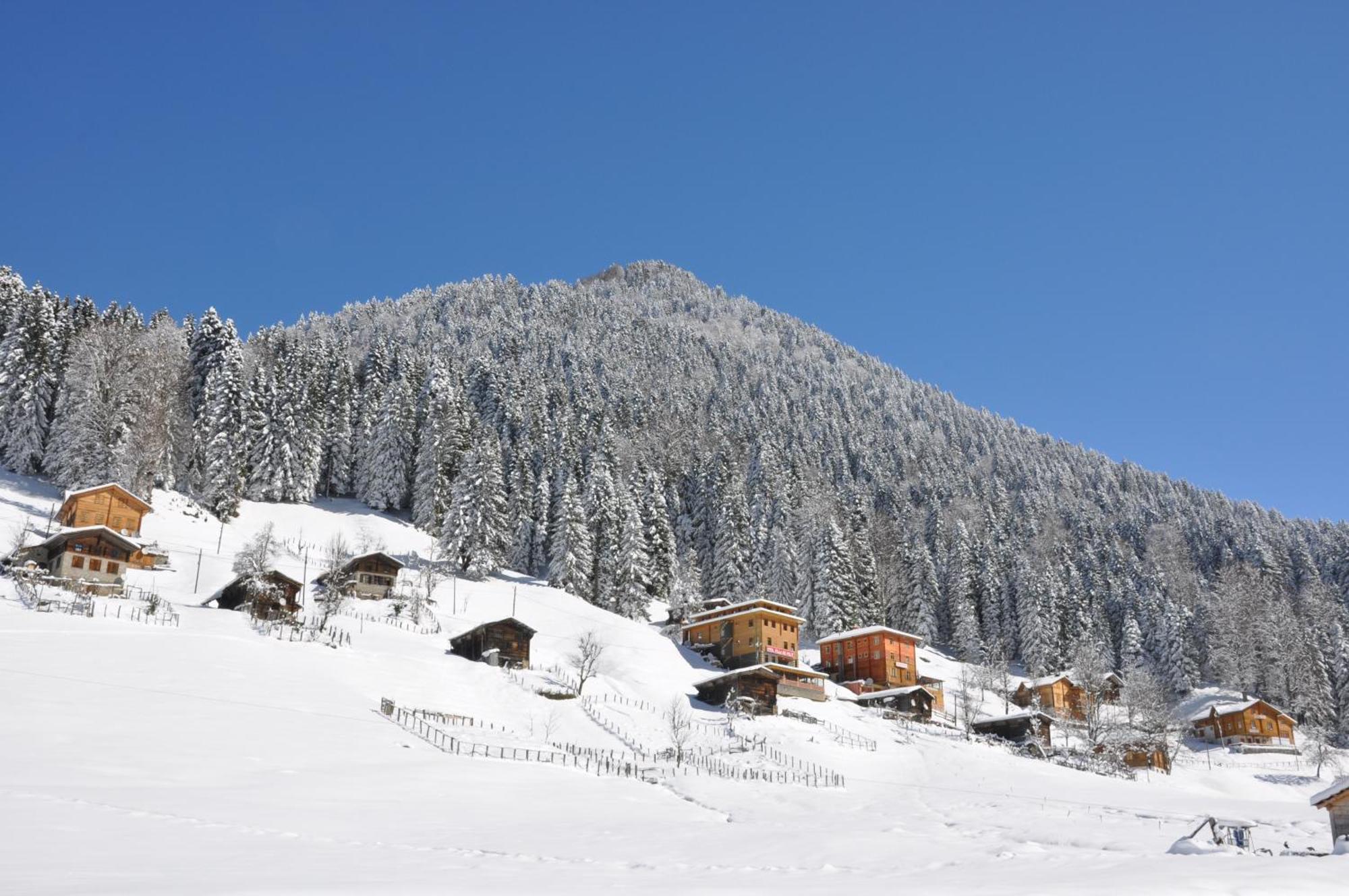 Ayder Hasimoglu Hotel Екстериор снимка