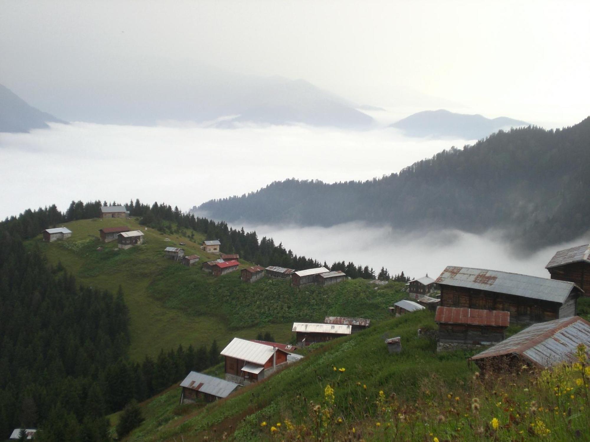 Ayder Hasimoglu Hotel Екстериор снимка